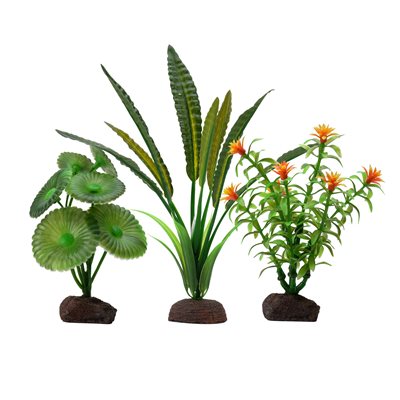 Collection de 3 plantes Élodée Plant Scapes Aqualife Fluval, 10-20 cm (4-8 po)