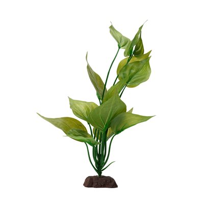 Fluval Varigated Lizard S Tail Plant 12In