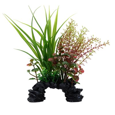 Ludwigia et sagittaire Deco Scapes Aqualife Fluval, 15-20 cm (6-8 po)