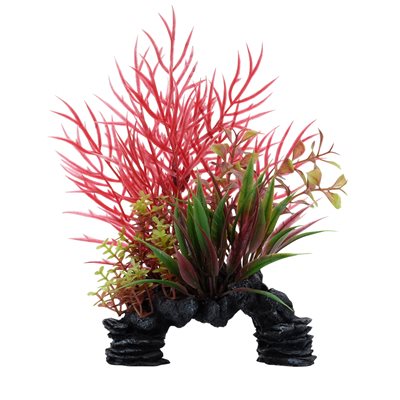 Glycine rouge Deco Scapes Aqualife Fluval, 15-20 cm (6-8 po)