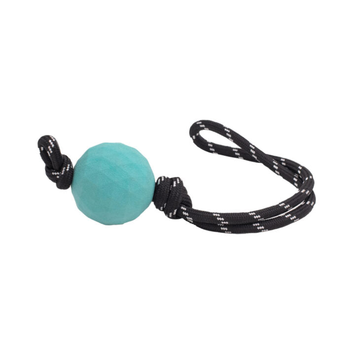 Zippy paws Zippytuff Waggle Ropetugz