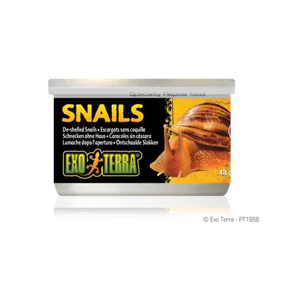 Aliments en conserve Exo Terra, Escargots (sans coquille), 48 g (1,7 oz)