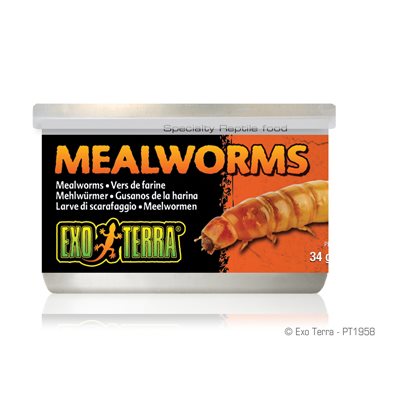 Vers De Farine Exo Terra, 34g