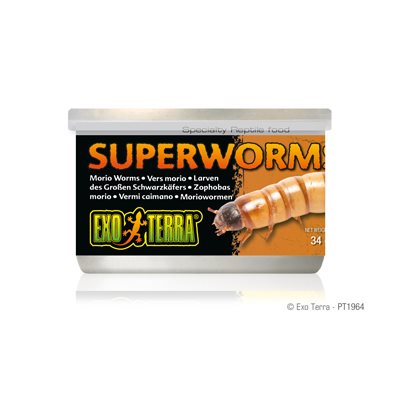 Aliments en conserve Exo Terra, Vers morio, 34 g (1,2 oz)