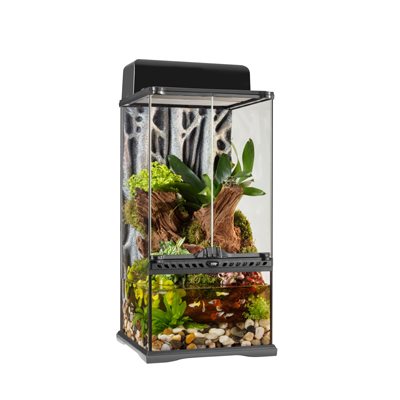 Terrarium De Forêt Tropicale Et Paludarium De Pointe Exo Terrra