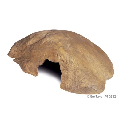 Exo Terra Grotte Moyenne