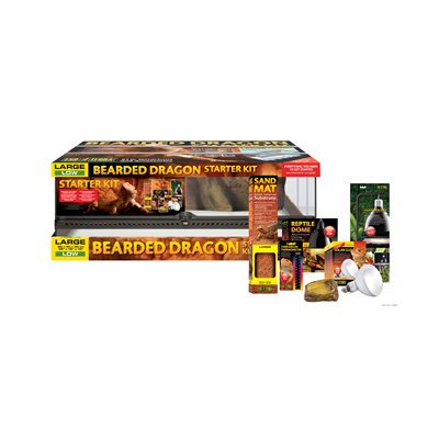 Exo Terra Habitat Equipe Pour Agame Barbu