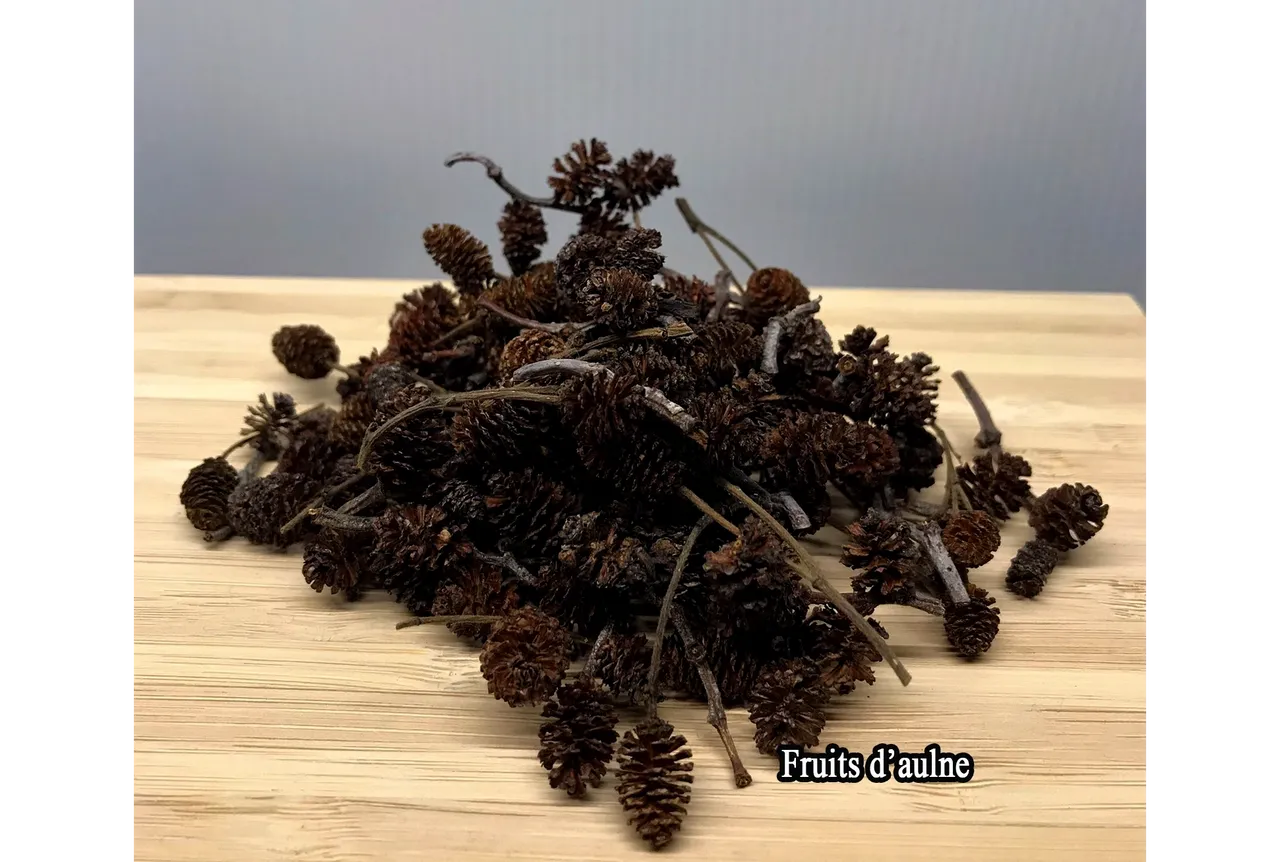 Aquarium Tout Compris Fruits D'Aulne Séchés 50Gr