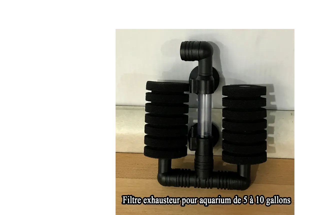 Aquarium tout compris filtre éponge exhauteur