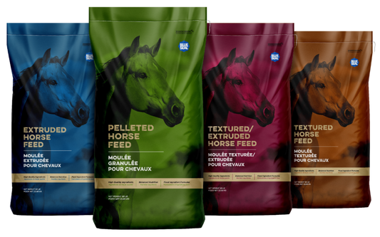 Blue Seal Chevaux Min-A-Vite Lite Pellet 22.68Kg
