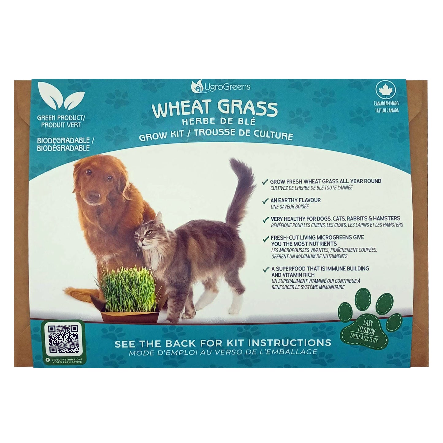 UgroGreens Herbe de Blé - Trousse de Culture