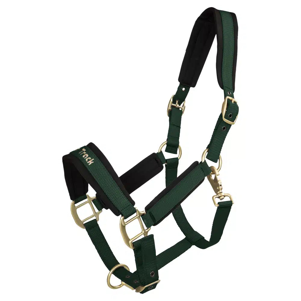 Back On Track Werano Halter Green Full