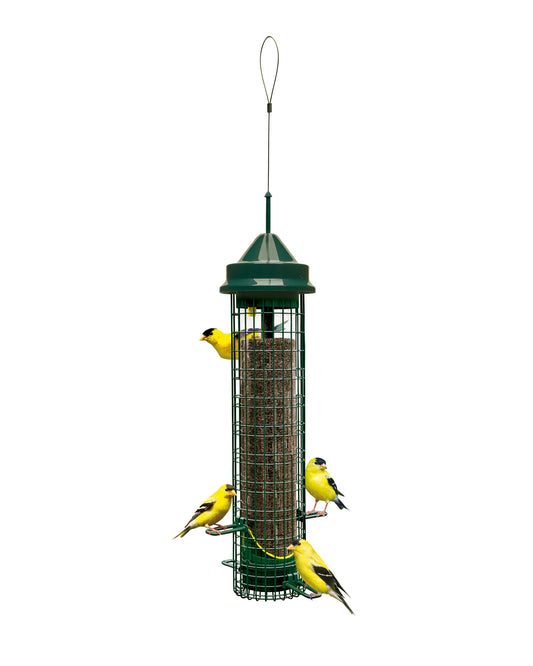 Mangeoire Squirrel BusterMD Chardonneret