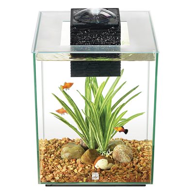 Fluval Chi Ii Aquarium 5 Gallon