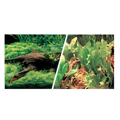 Ma Dbl Sdd Bgrjapaqscp/Frshw,12Inx25Ft-V