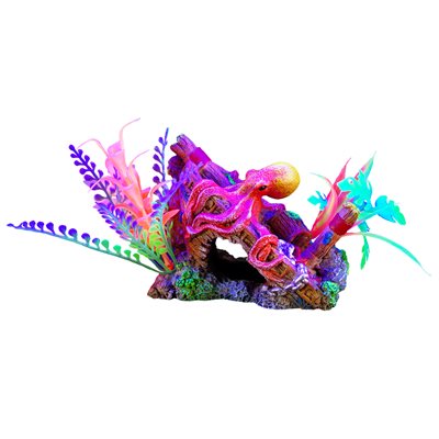 Épave Iglo Marina, 10 Cm (4 Po)