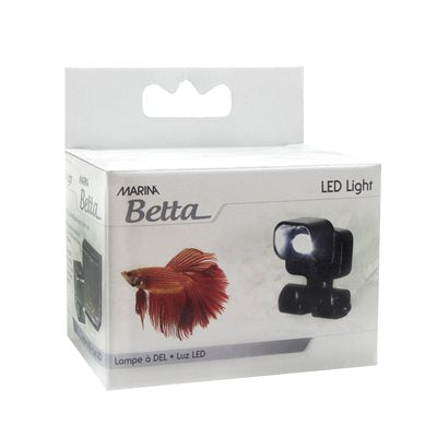 Lampe Del Aqu. Équi. Marina P. Betta-V