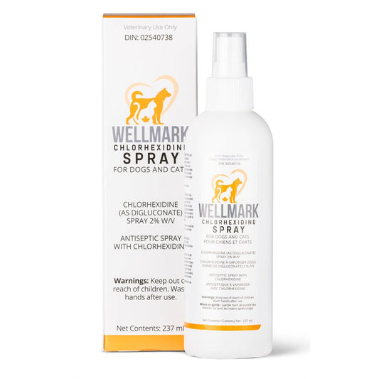 Wellmark Vaporisateur à la Chlorhexidine 237 ml