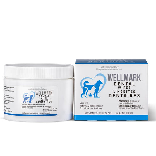 Wellmark Lingettes Dentaires 50 MCX