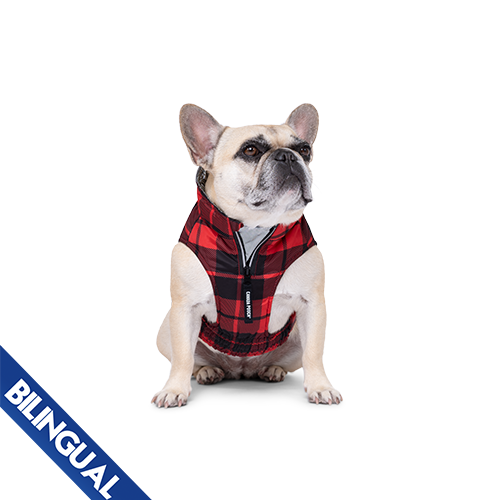 Canada Pooch The Expedition Coat 2.0 Red Plaid