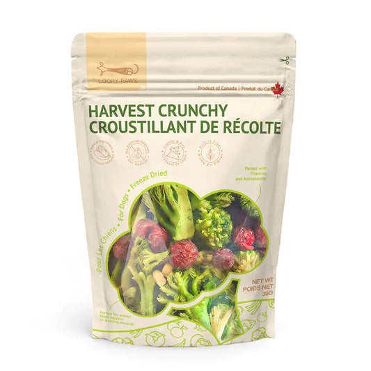 Brocoli croquant de la récolte mélangé