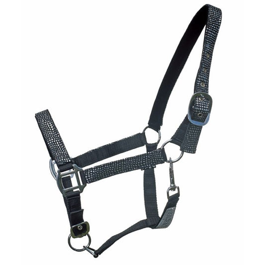 Ensemble Licol et Longe Mamba – Taille Cob