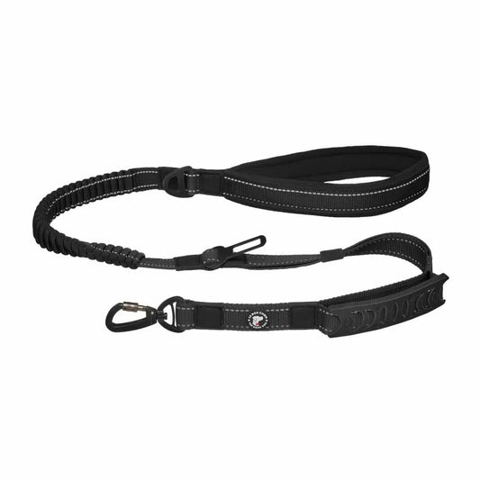 Le Bon Chien Laisse bungee multifonction avec attache pour la voiture