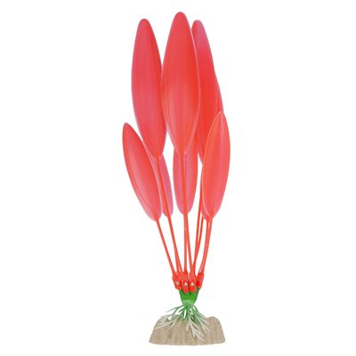 Spectrum Plante « GloFish » Grande Orange