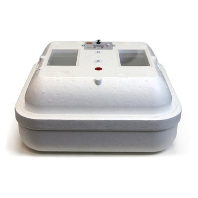 Incubateur avec thermostat électronique (Air Forcé)