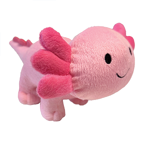 foufouBRANDS™ fouFIT™ Peluche Axolotl – Petit format 23 cm (9") – Jouet pour chien