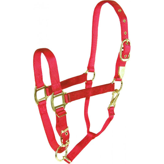 Licou de luxe Hamilton 1" avec menton réglable et mousqueton à la gorge