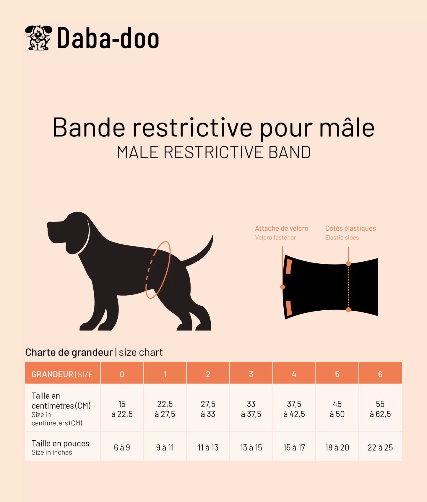 Dabadoo Bande Restrictive pour mâles
