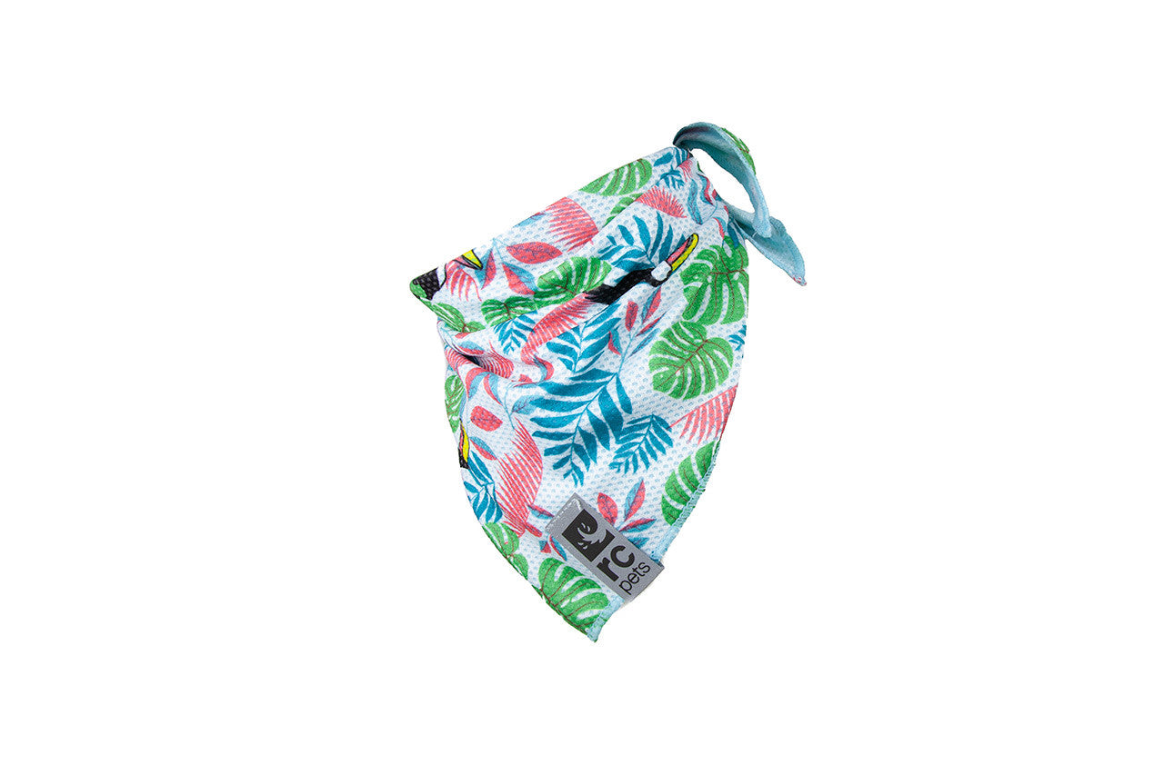 Rc Pets Bandana Refroidissant Zephyr L Toucan
