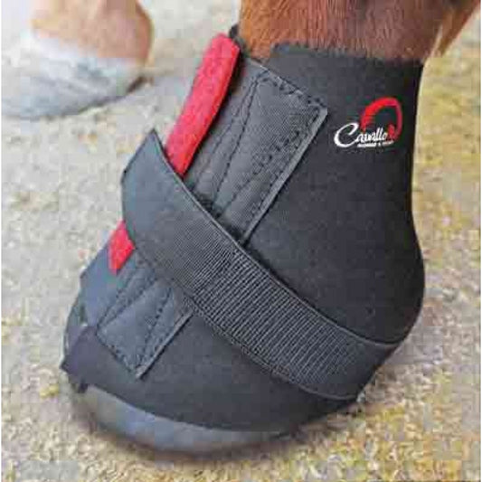 Cavallo Bandages de pâturon