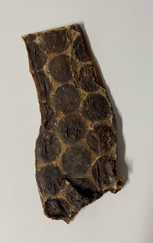 Oesophage De Boeuf