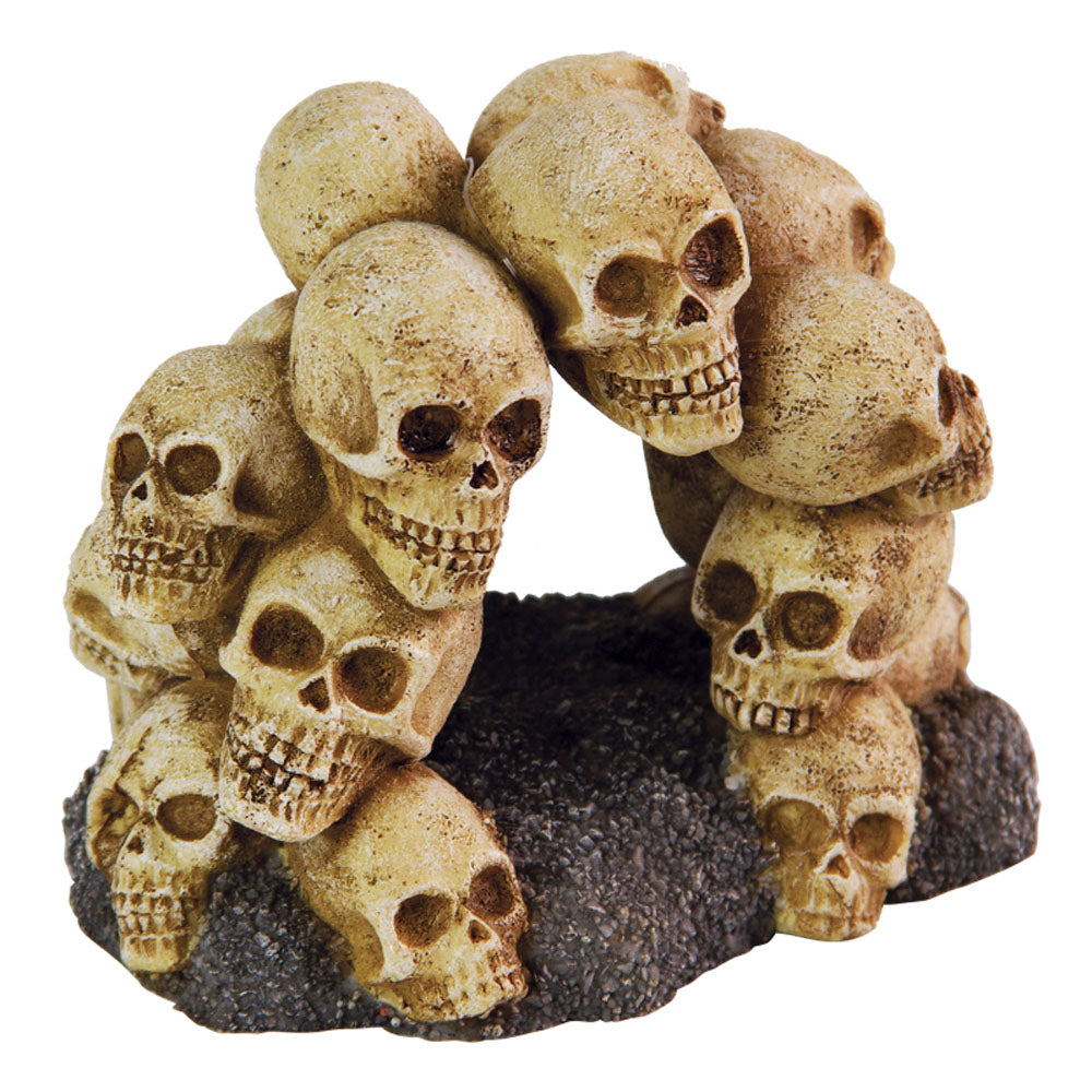 AQUA-FIT – Décoration en polyresine “Skull Arch” 5.25x4x4"