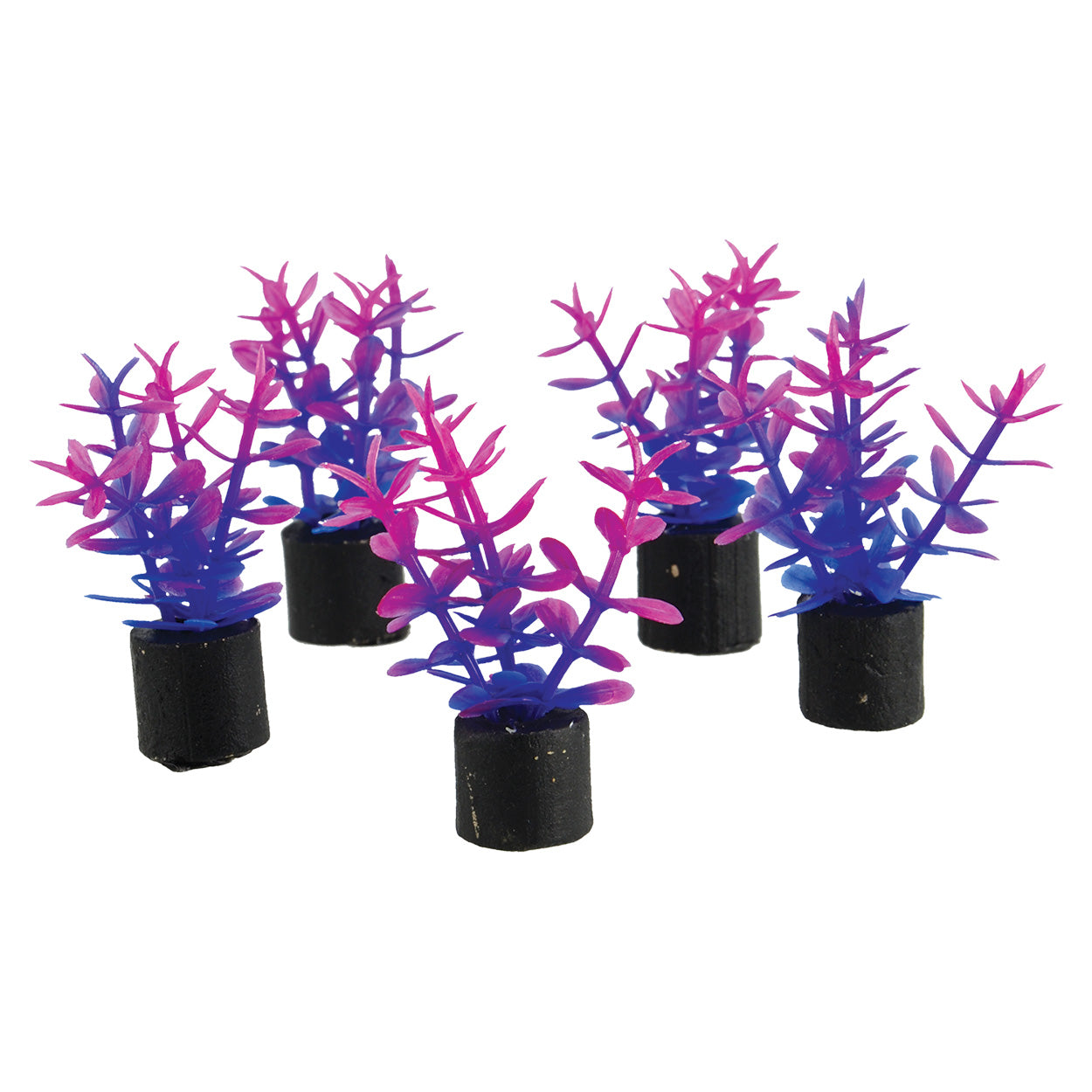 Trésors sous-marins Mini plante - Violette - 3,8 cm - Lot de 5Mini plante - Violette - 3,8 cm - Lot de 5