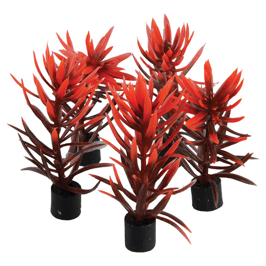 Trésors sous-marins Mini-plante - Rouge et marron - 7,5 cm - Lot de 5Mini-plante - Rouge et marron - 7,5 cm - Lot de 5