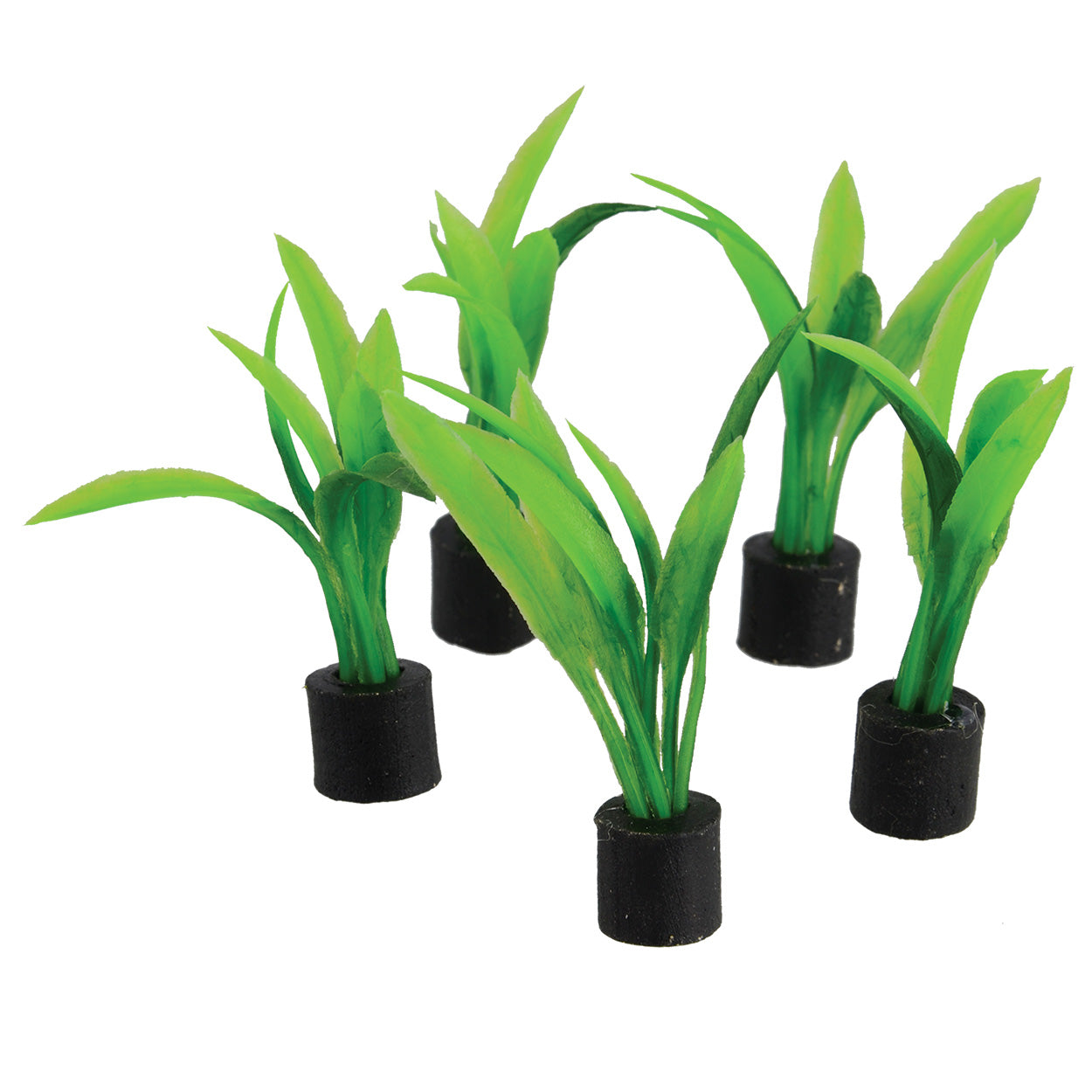 Trésors sous-marins Mini épée végétale - Grande - 7 cm - Lot de 5Mini épée végétale - Grande - 7 cm - Lot de 5