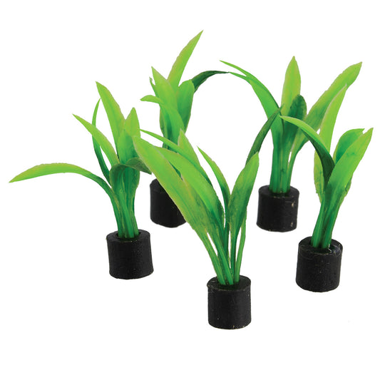Trésors sous-marins Mini épée végétale - Grande - 7 cm - Lot de 5Mini épée végétale - Grande - 7 cm - Lot de 5