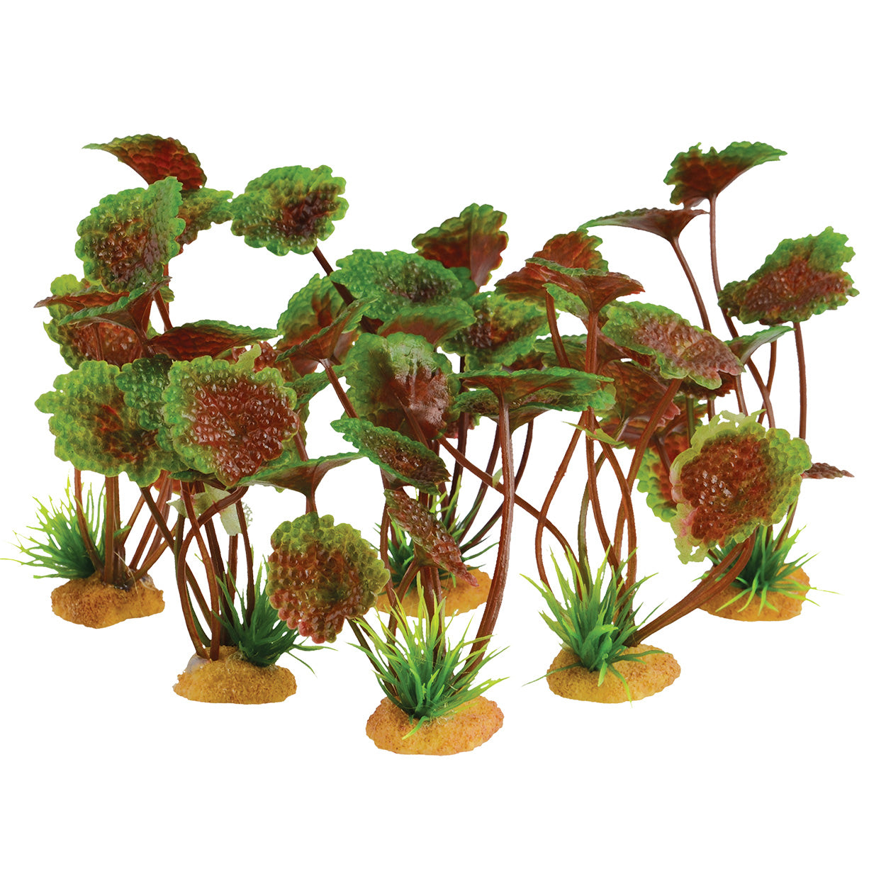 Trésors sous-marins 4 Grounder Cardamine Violette - 3,5" - Paquet de 6