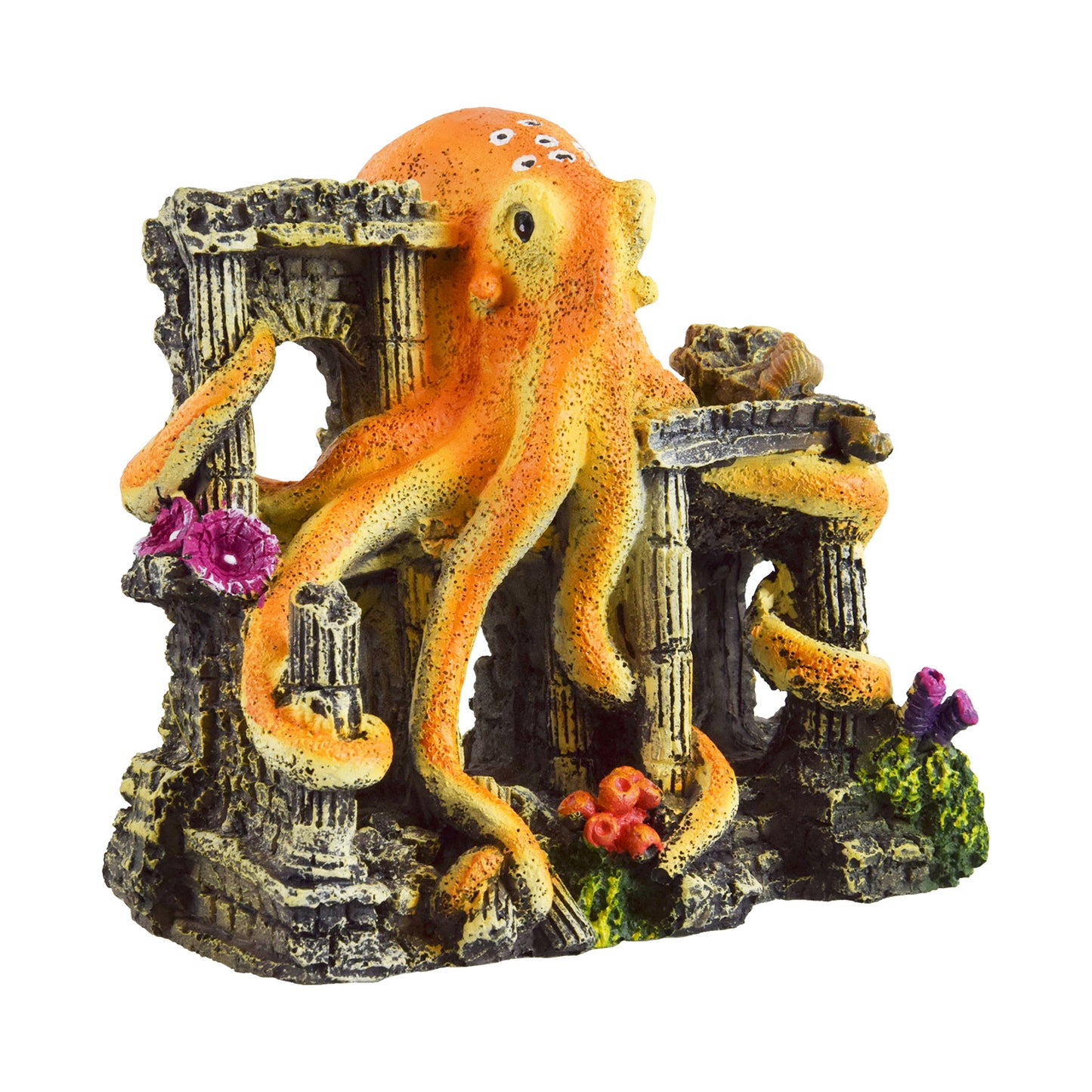 Trésors sous-marins Ruine de pieuvre