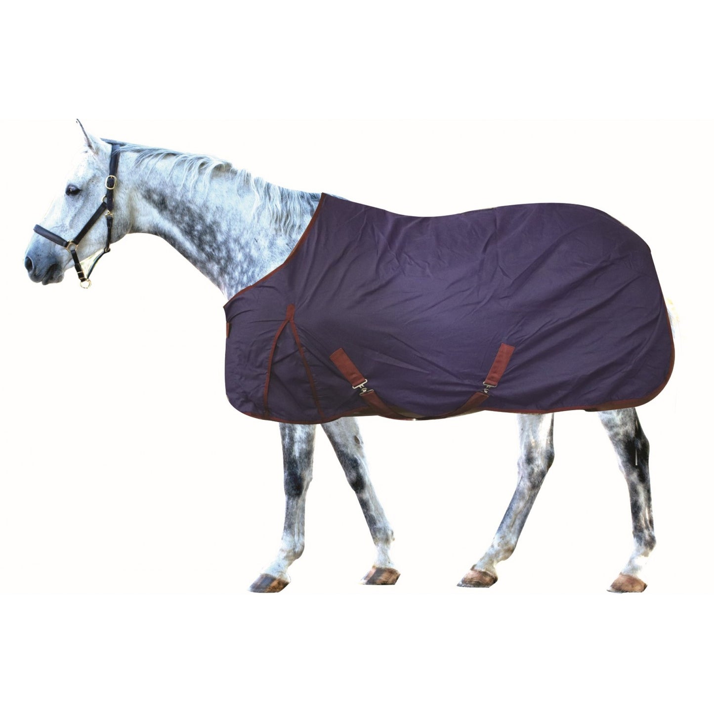 DRAP D'ÉTÉ EN COTON PERFORMANCE CENTURY