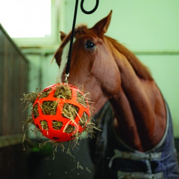 Balle distributeur de foin à alimentation lente Fun & Flex 22cm