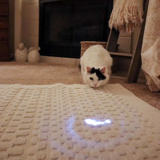 Turbo Laser pointeur poisson