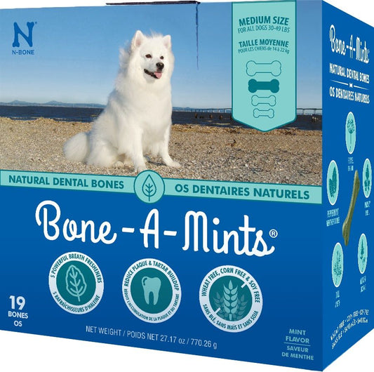 Bone-a-mints - Moyen, Boite De 19 Unités, 27.17oz