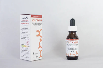 Holidago Kit Holi-Mobile