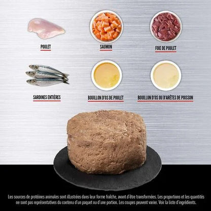 Orijen - Morceaux - Repas au poulet et thon pour chatons 5.5oz