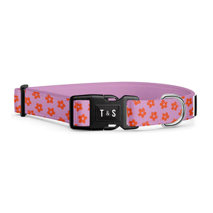 Tella & Stella Collier Chien Collection Motif