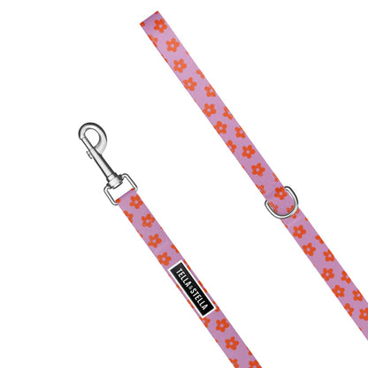 Tella & Stella Laisse Pour Chien Collection Motif